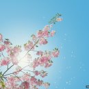 삼일주방 - 남구 도금마을길 75-5 | 삼일주방