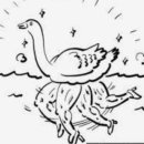 백조상사 이미지