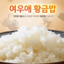 여우애 김밥 네이버블로그