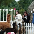 관광농원가든 이미지