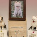 보석그룹