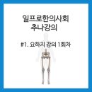 스타우드프라자 | [일프로한의사] #1. 요하지 추나강의 1회차