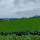 행안면사무소 | 8월 첫째주-전북 부안 여행(계화회관, 슬지제빵소, 변산반도국립공원, 격포해수욕장, 내장산가인야영장)