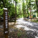 만수산자연휴양림 이미지