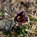 성산읍-3 이미지