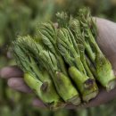 새순한방병원 이미지