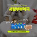 서정부부약국 이미지