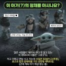 [CGV IMAX] 만달로리안과 그로구 후기, 스타워즈 몰라도 재미있었던 영화 (쿠키유무) 내돈내산