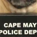 댕댕스토리 이미지