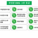 더마피아 네이버블로그