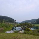 ⛳ 흐린 날씨 덕분에 더 쾌적했던 6월 라운딩!용인 세현CC Lake &amp; Valley 코스 솔직 후기