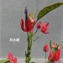 자옥 Daum카페