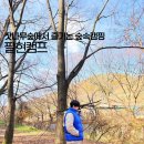 증산수도계곡캠핑장 | [남양주캠핑] 서울에서 30분 예약없이 갈 수 있는 서울근교 잣나무숲 계곡캠핑장 팔현캠프 솔직후기