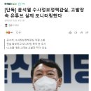 이미지-또 하나의  이미지