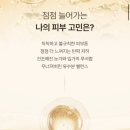 리베에스테틱