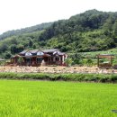 예천늘봄 이미지