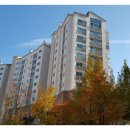 GS25 은평진관점 이미지