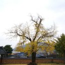 나주향교 이미지