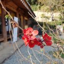 정화미용실 이미지