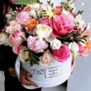 금상첨화 이미지