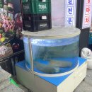 서울 홍게 찜 맛집 새벽대게 강남지점 두 번째 방문 후기