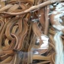 수정씨푸드 이미지