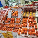 목련청과축산