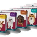 박성준 동물병원 이미지