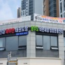 용인대 마루한 태권도 이미지