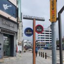 경포중학교 이미지