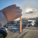 울진가자미 맞은편 | 울진 후포항 태운호에서 1월 제철 대게 구매, 쥐치&amp;가자미&amp;해삼 구매