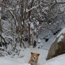 또또펜션 이미지