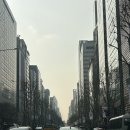 신라스테이 역삼 | [서울 강남 숙소] 신라스테이 역삼 디럭스 더블룸 후기 ✨