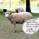 어룡목장 티스토리