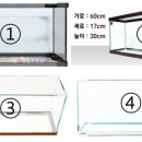 수족관남국상사 | 구피 치어들 용궁으로 가다. 그리고 지름신 하강 하셨도다.