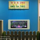 풍성한 감성효과를 누릴 수 있는 벽걸이수족관!! 이미지