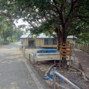 초강농장 이미지