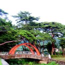 숲이야기 이미지