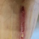 코앤미이비인후과의원 이미지