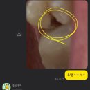 e-바른치과의원 이미지