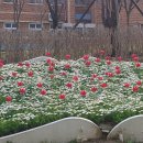 장자호수길 이미지