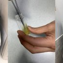 유성동물병원 이미지