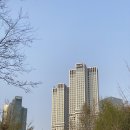 베델로즈피크닉