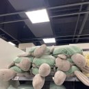 몰리스펫샵 풍산점 이미지