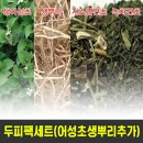 엄지농장 이미지