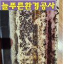 늘푸른 환경공사 네이버블로그