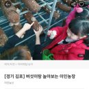 이인농장 이미지