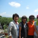 영순농장 이미지