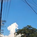 한국개발연구원(KDI) 버스정류장 이미지