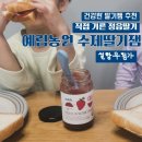예림약국 | 우리아이딸기잼 추천 예림농원 설탕무첨가 수제딸기잼